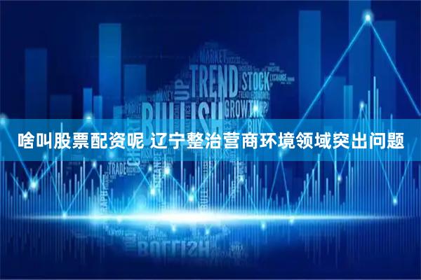 啥叫股票配资呢 辽宁整治营商环境领域突出问题